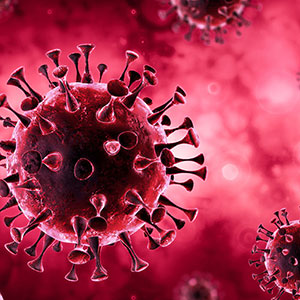 Coronavirus can remain viable  up to three days on plastic 