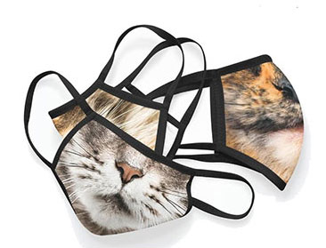 Maine Coon Cat Washable Face Mask