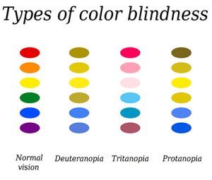 What is Color Blindness: Everything You Want to Know