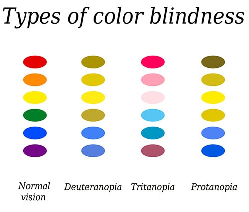 Example of how colors look with different kinds of color blindness