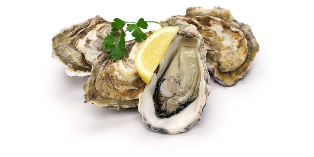 What foods are best for eye health - Oysters