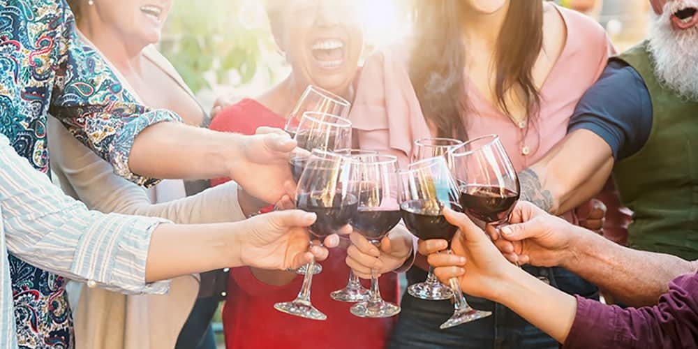 Group of people enjoying wine toast at a gathering.