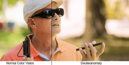 Image comparing normal color vision to red-green color blindness