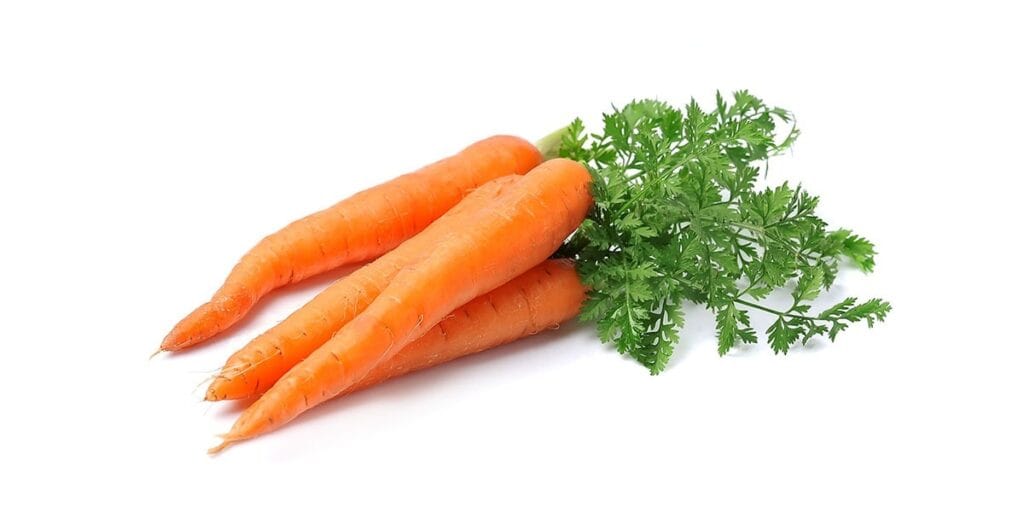 Fresh carrots with green tops, promoting eye health and vision support.