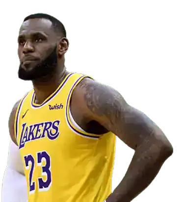 Los Angeles Lakers basketball player wearing jersey number 23, standing with arms crossed, in a spor.